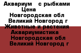 Аквариум c с рыбками › Цена ­ 4 500 - Новгородская обл., Великий Новгород г. Животные и растения » Аквариумистика   . Новгородская обл.,Великий Новгород г.